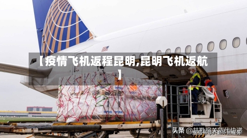 【疫情飞机返程昆明,昆明飞机返航】-第2张图片