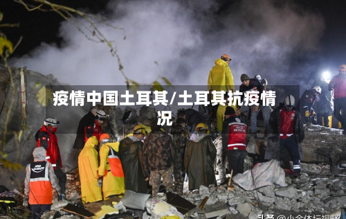 疫情中国土耳其/土耳其抗疫情况-第3张图片