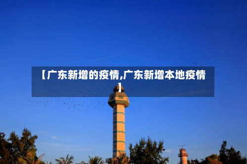 【广东新增的疫情,广东新增本地疫情】-第2张图片