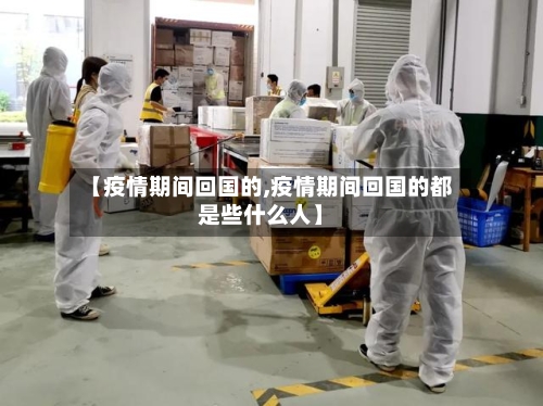 【疫情期间回国的,疫情期间回国的都是些什么人】-第2张图片