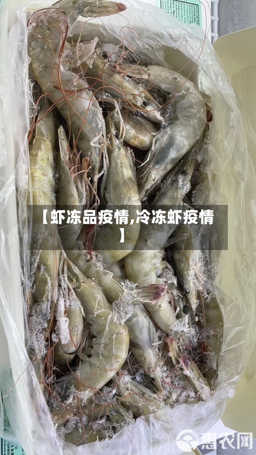【虾冻品疫情,冷冻虾疫情】-第1张图片