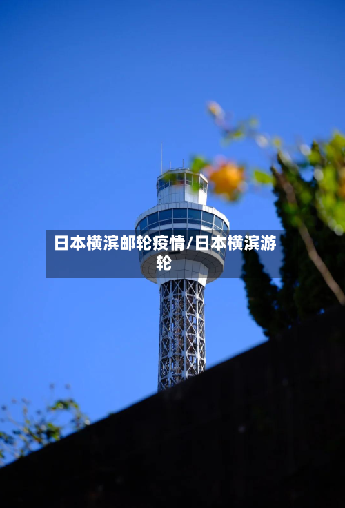 日本横滨邮轮疫情/日本横滨游轮-第1张图片