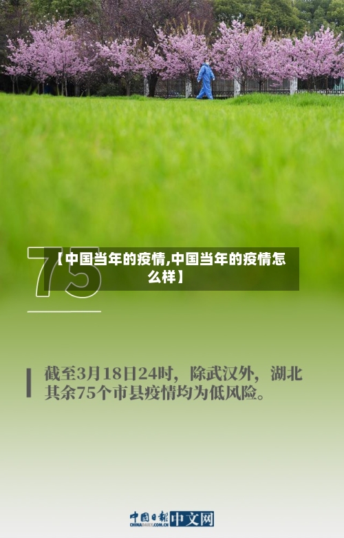 【中国当年的疫情,中国当年的疫情怎么样】-第2张图片