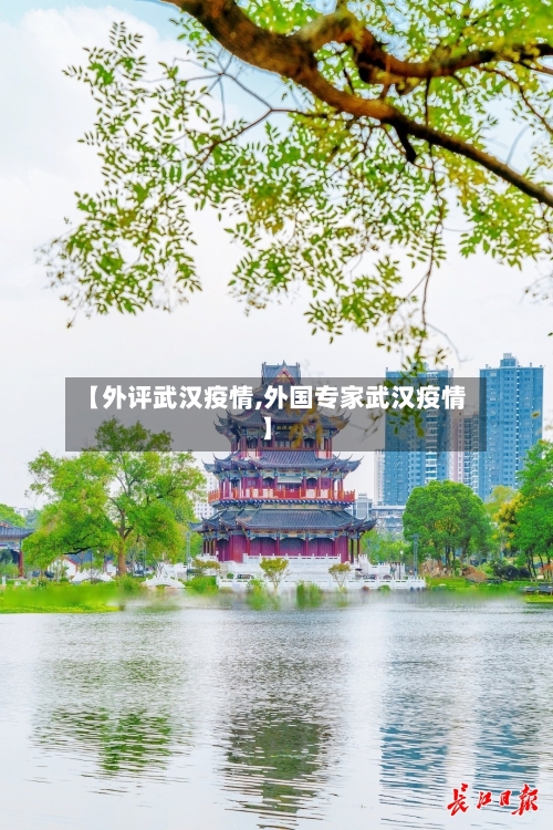 【外评武汉疫情,外国专家武汉疫情】-第3张图片