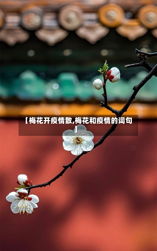【梅花开疫情散,梅花和疫情的词句】-第1张图片