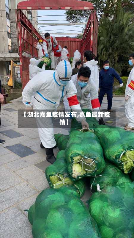 【湖北嘉鱼疫情发布,嘉鱼最新疫情】-第1张图片