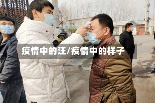 疫情中的汪/疫情中的样子-第1张图片