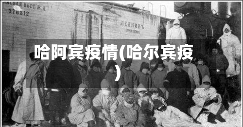 哈阿宾疫情(哈尔宾疫)-第1张图片