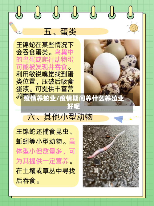 疫情养蛇业/疫情期间养什么养殖业好呢-第2张图片