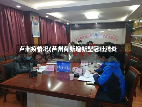 卢洲疫情况(芦州有新增新型冠壮肺炎)-第1张图片