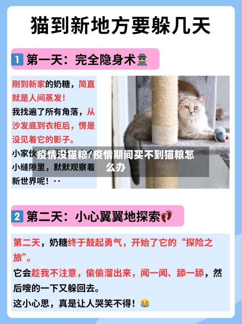 疫情没猫粮/疫情期间买不到猫粮怎么办-第2张图片
