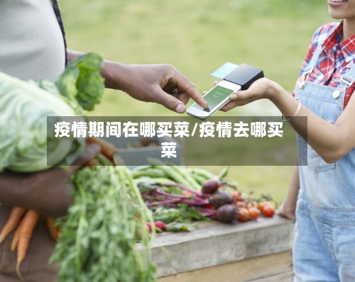 疫情期间在哪买菜/疫情去哪买菜-第1张图片