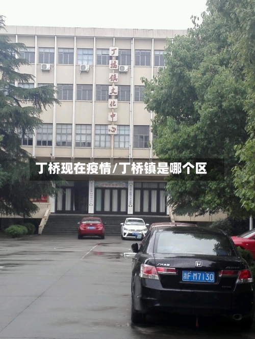 丁桥现在疫情/丁桥镇是哪个区-第1张图片