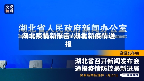 湖北疫情新报告/湖北新疫情通报-第1张图片