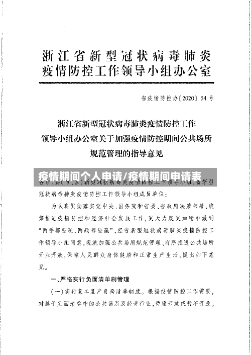 疫情期间个人申请/疫情期间申请表-第1张图片