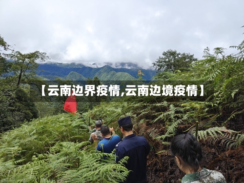 【云南边界疫情,云南边境疫情】-第1张图片