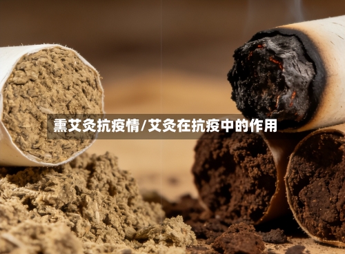 熏艾灸抗疫情/艾灸在抗疫中的作用-第1张图片