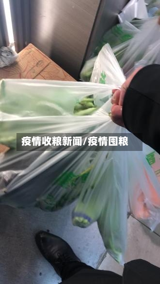 疫情收粮新闻/疫情囤粮-第1张图片