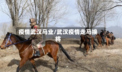 疫情武汉马业/武汉疫情走马换将-第1张图片