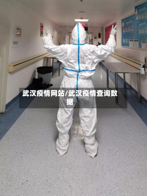 武汉疫情网站/武汉疫情查询数据-第1张图片