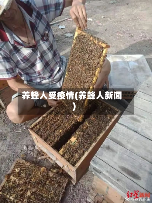 养蜂人受疫情(养蜂人新闻)-第1张图片