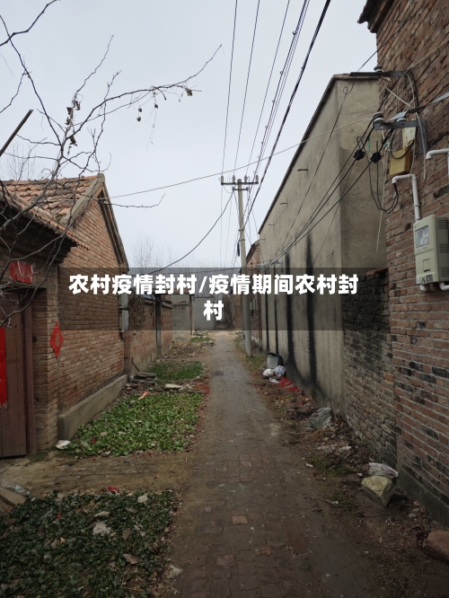 农村疫情封村/疫情期间农村封村-第2张图片