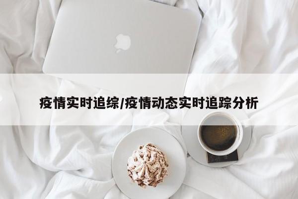 疫情实时追综/疫情动态实时追踪分析